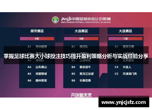 掌握足球比赛大小球投注技巧提升盈利策略分析与实战经验分享